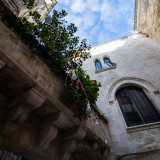 Da qui notiamo come i due edifici dirimpettai abbiano la classica architettura delle case palaziate cinquecentesche diffuse nella citt� vecchia e sorte su costruzioni medievali precedenti